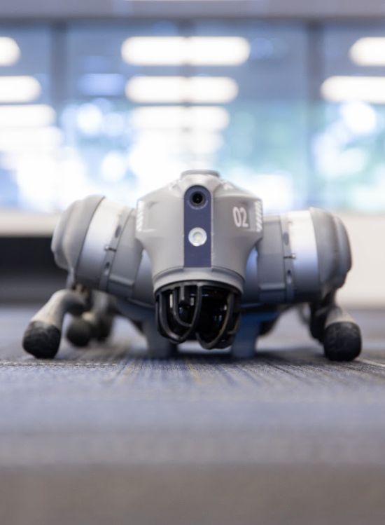 Summer Cyber Camp activity