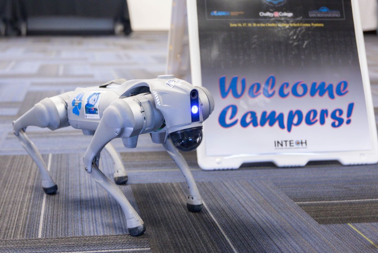 Summer Cyber Camp activity