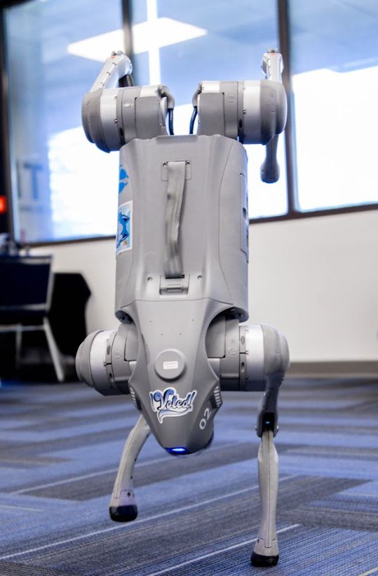 Summer Cyber Camp activity